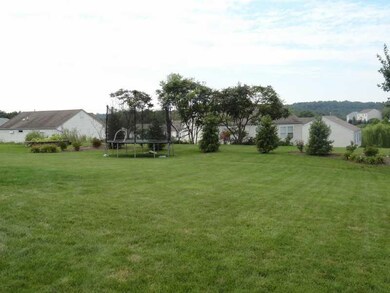Yard/Garden.