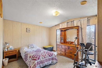 Carpeted bedroom with multiple windows, lofted cei