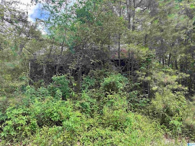 27414 Alabama 253, Hackleburg, AL 35564 - photo 4