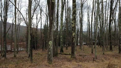 175 Laurel Cir, Terra Alta, WV 26764 - photo 2