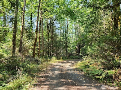 unlisted-address, Brinnon, WA 98320 - photo 2