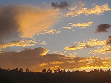 87 Which Way, Ridgway, CO 81432 - photo 6