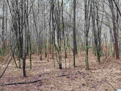 0 Wallace St unit 1, Sylacauga, AL 35151 - photo 2