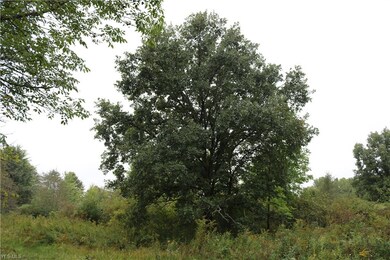 0 State Route 167 unit 4136104, Denmark, OH 44047 - photo 7