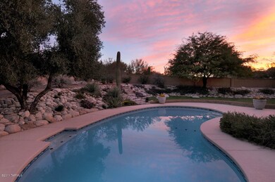 Prestine Pool - Replastered 11-11