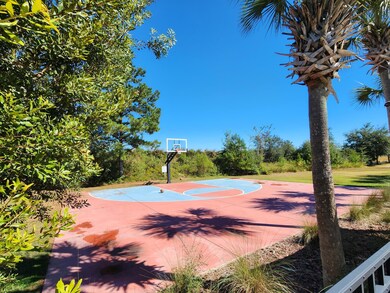 Basketball Court