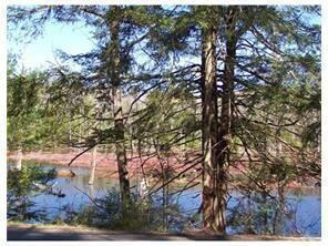 Pond Murphys Corner Rd. (2019_07_19 20_3