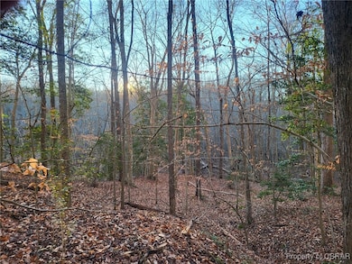 Lot 18 Beech Tree Ct, Gloucester, VA 23061 - photo 4