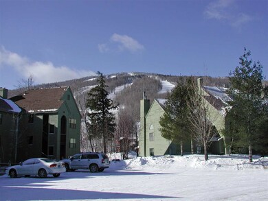 42 Harrison Ln unit M-106, Ludlow, VT 05149 - photo 3