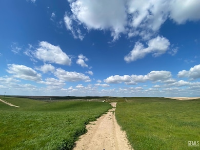 0 Sherwood Ave unit 202403316, Mc Farland, CA 93260 - photo 3