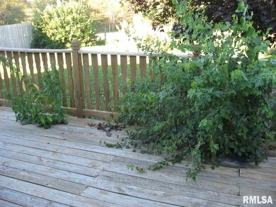 24 Crestview Dr, Geneseo, IL 61254 - photo 4