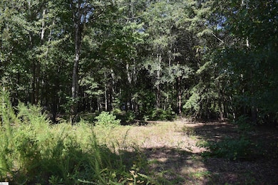 0 Lyman Lodge Rd, Lyman, SC 29365 - photo 2