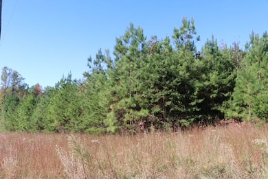 14504 Farmville Rd, Meherrin, VA 23954 - photo 6