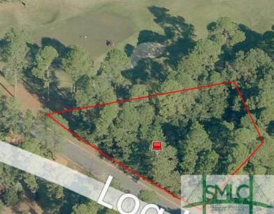 Aerial View.