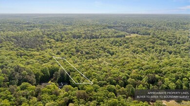 View of bird's eye view