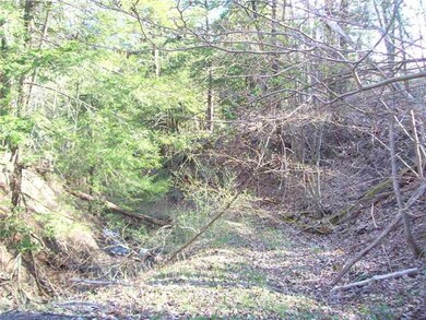 Land. One of the trails along the year round creek