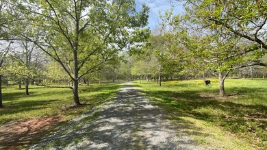 Start of the road access throughout the property