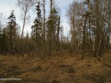 woods