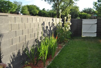Bryner photo 5 back yard