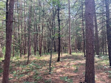 4825 W 8th St, Baldwin, MI 49304 - photo 5