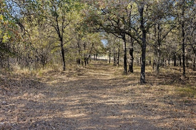 2500 Leech Rd, Poolville, TX 76487 - photo 4