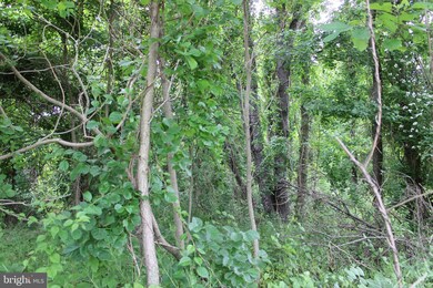 28 Mile Trail, Fairfield, PA 17320 - photo 6