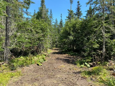 Path