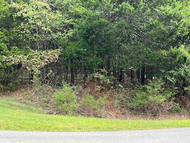 137 Shore Dr, Shirley, AR 72153 - photo 7