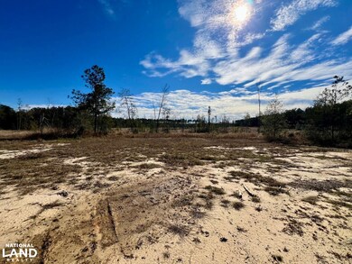 0 Bud Odom Rd unit 25514042, Deer Park, AL 36529 - photo 5