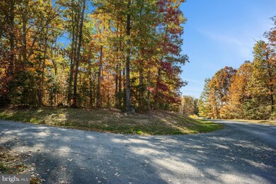 L 3 Oak Hill Ct, Stephens City, VA 22655 - photo 3