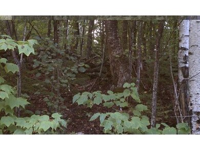 0 Pearl Lake Rd unit 4180994, Sugar Hill, NH 03586 - photo 5