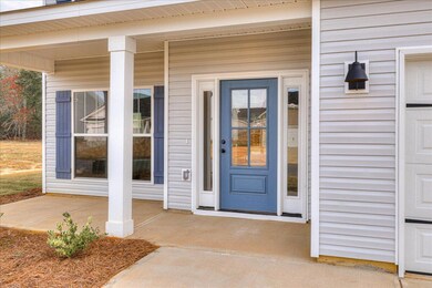 4153 Fringetree Loop, Aiken, SC 29803 - photo 4