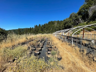 1506 Spyrock Rd, Laytonville, CA 95454 - photo 3