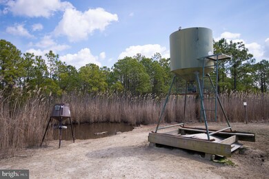 0 Andrews Rd unit MDDO2004556, Crapo, MD 21626 - photo 2