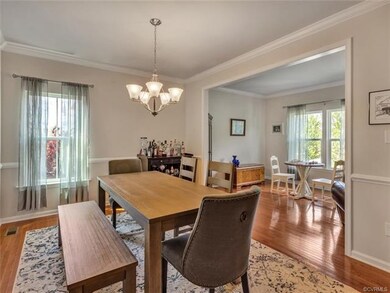 16907 Wild Senna Place, Moseley, VA 23120 - photo 6