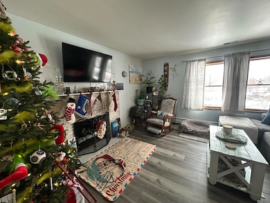 120 Ballpark Rd unit 120, Craigsville, WV 26205 - photo 7