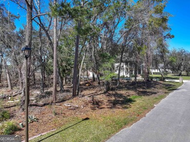 0 Riverview Dr W unit 10523000, St. Marys, GA 31558 - photo 3