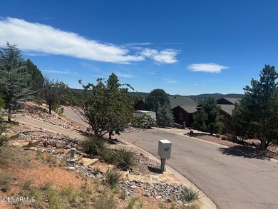 817 N Blue Spruce Cir unit 284, Payson, AZ 85541 - photo 4