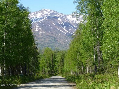 View to Talkeetnas From Parcel
