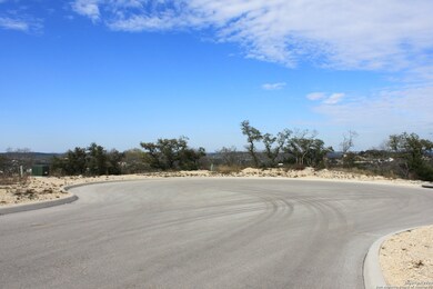 22934 Homestead Mesa, San Antonio, TX 78255 - photo 3