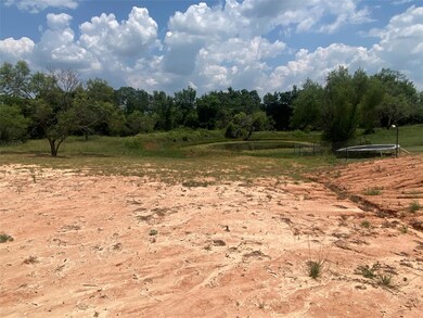 505 Pecan Tree Ct, Poolville, TX 76487 - photo 5