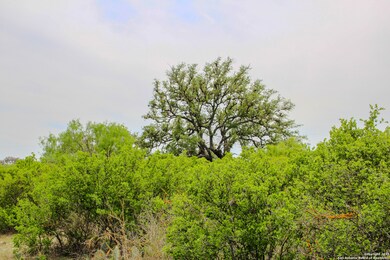 TBD Cr 341, Hondo, TX 78861 - photo 6