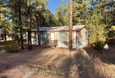 2895 Markham Rd, Heber-Overgaard, AZ 85928 - photo 2
