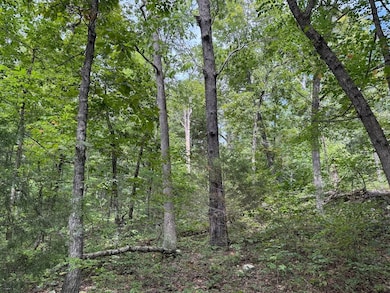 Tract 3 4 unit Terrapin Road, Harrison, AR 72601 - photo 7