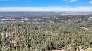 NKA, Deer Park, WA 99006 - photo 7