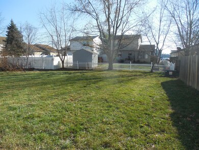 Back yard