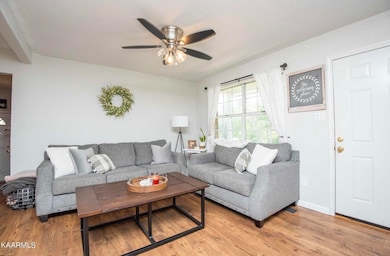 995 Spring Creek Rd, Dandridge, TN 37725 - photo 4