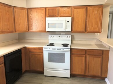 1011 Taft Ave unit 1B, Wheaton, IL 60189 - photo 3