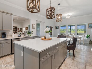 202 Goldenrod Ln, Maurice, LA 70555 - photo 7