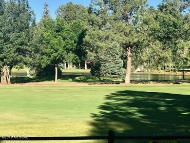view from kitchen